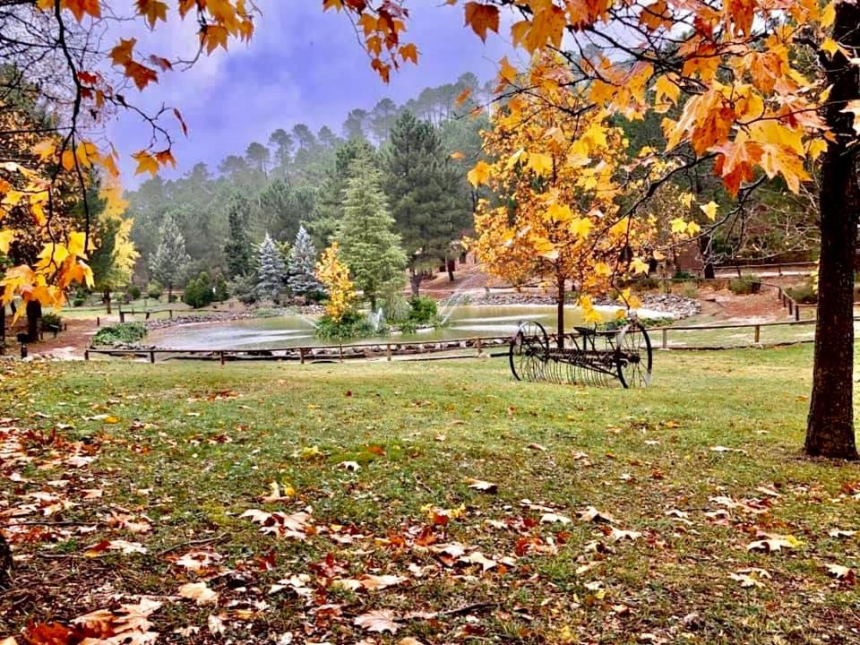 Casa Rural Riopar, Luxury In Nature Екстериор снимка